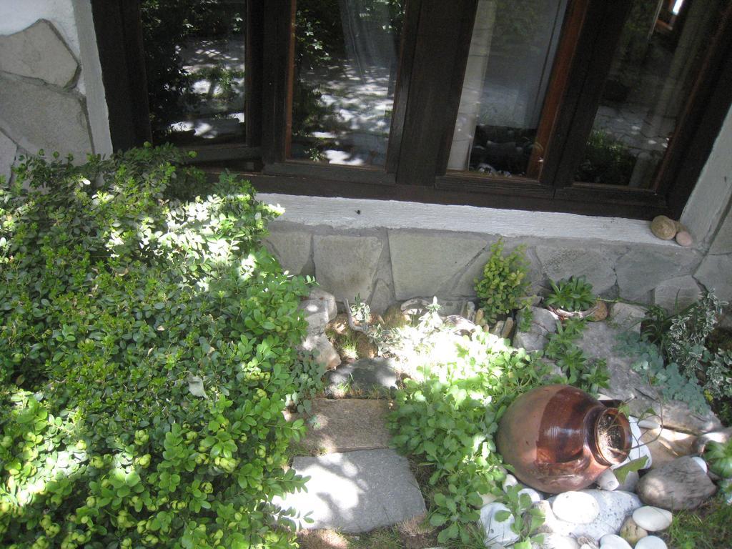 Guest House Voyno Dobriniszte Zewnętrze zdjęcie