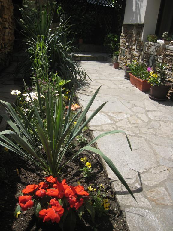Guest House Voyno Dobriniszte Zewnętrze zdjęcie